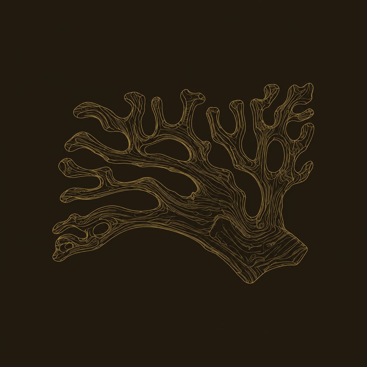 Branching Wall Sconce With Sculpted Coral Form And Warm Edge Glow dimension diagram