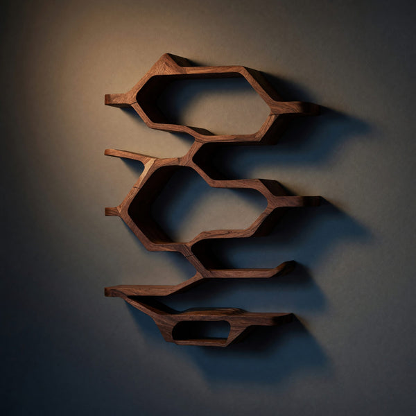 Solid Wood Spice Rack Handcrafted Kitchen Organization