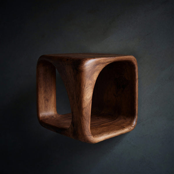 Modern Organic Wooden Side Table With Sculptural Form And Book Storage For Livin