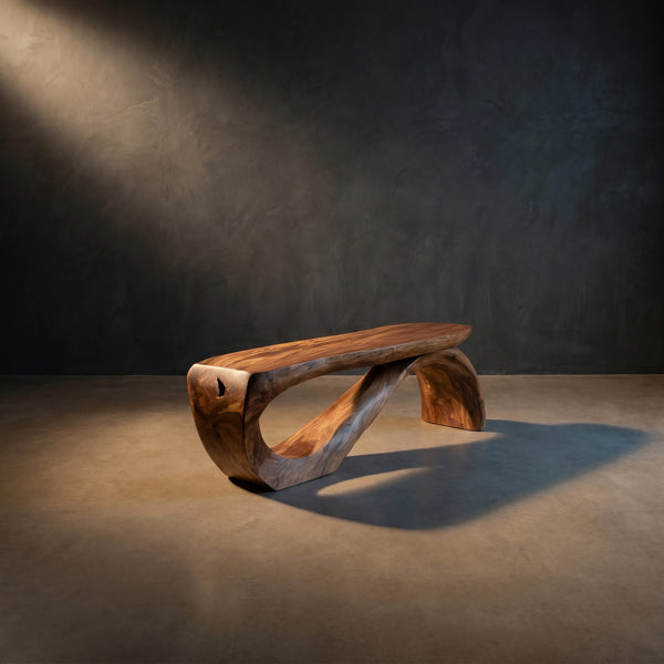 Minimal Organic Bench With Smooth Curved Form For Entryway