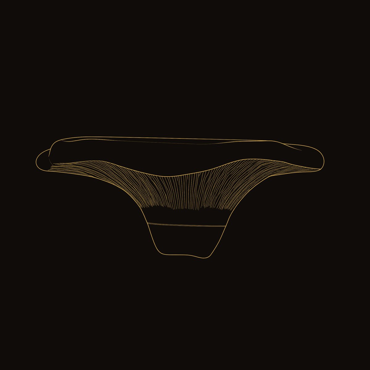 Solid Wood Mushroom Shelf Handcrafted Live Edge dimension diagram