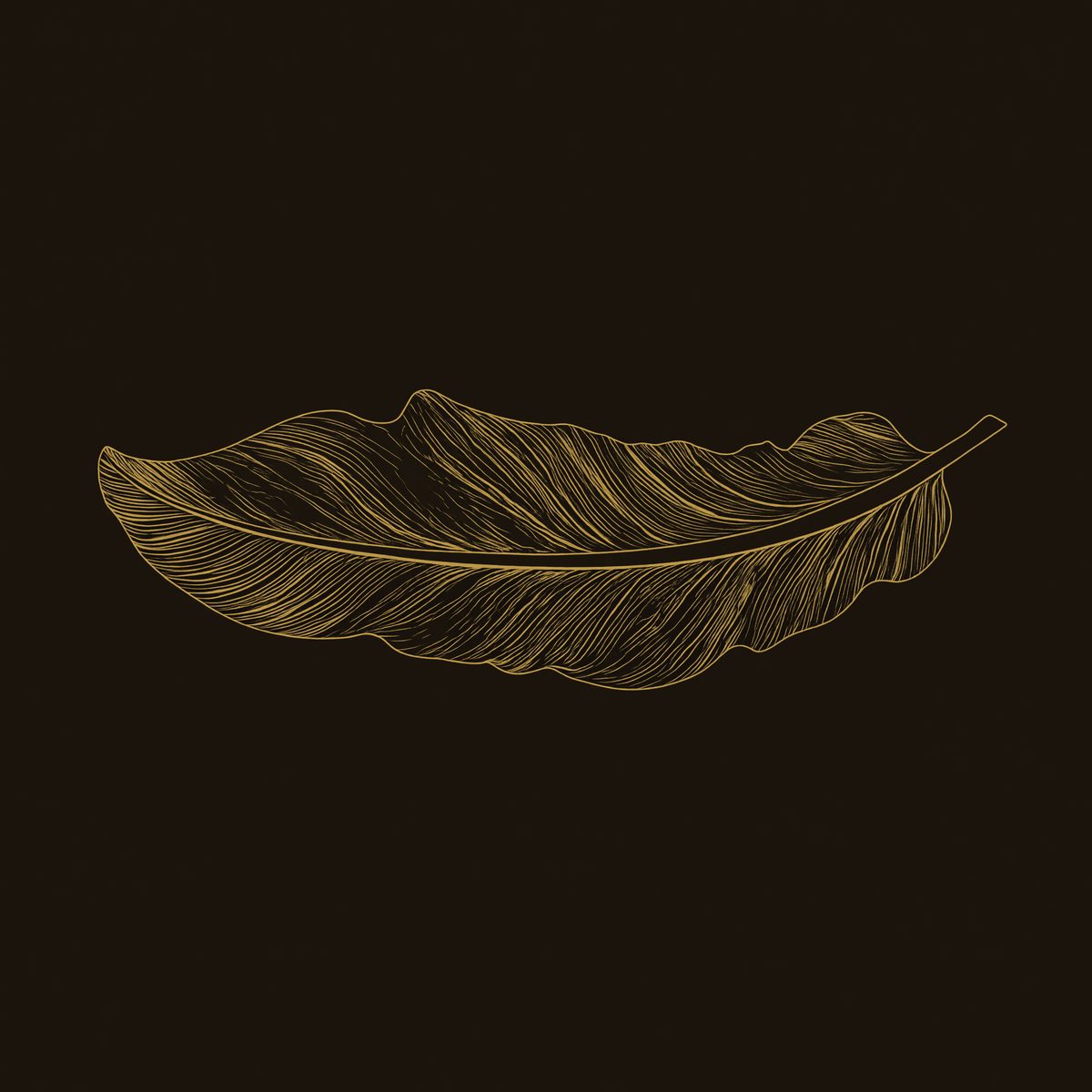 Hand-Carved Feather Relief, Barb by Barb in Solid Wood dimension diagram