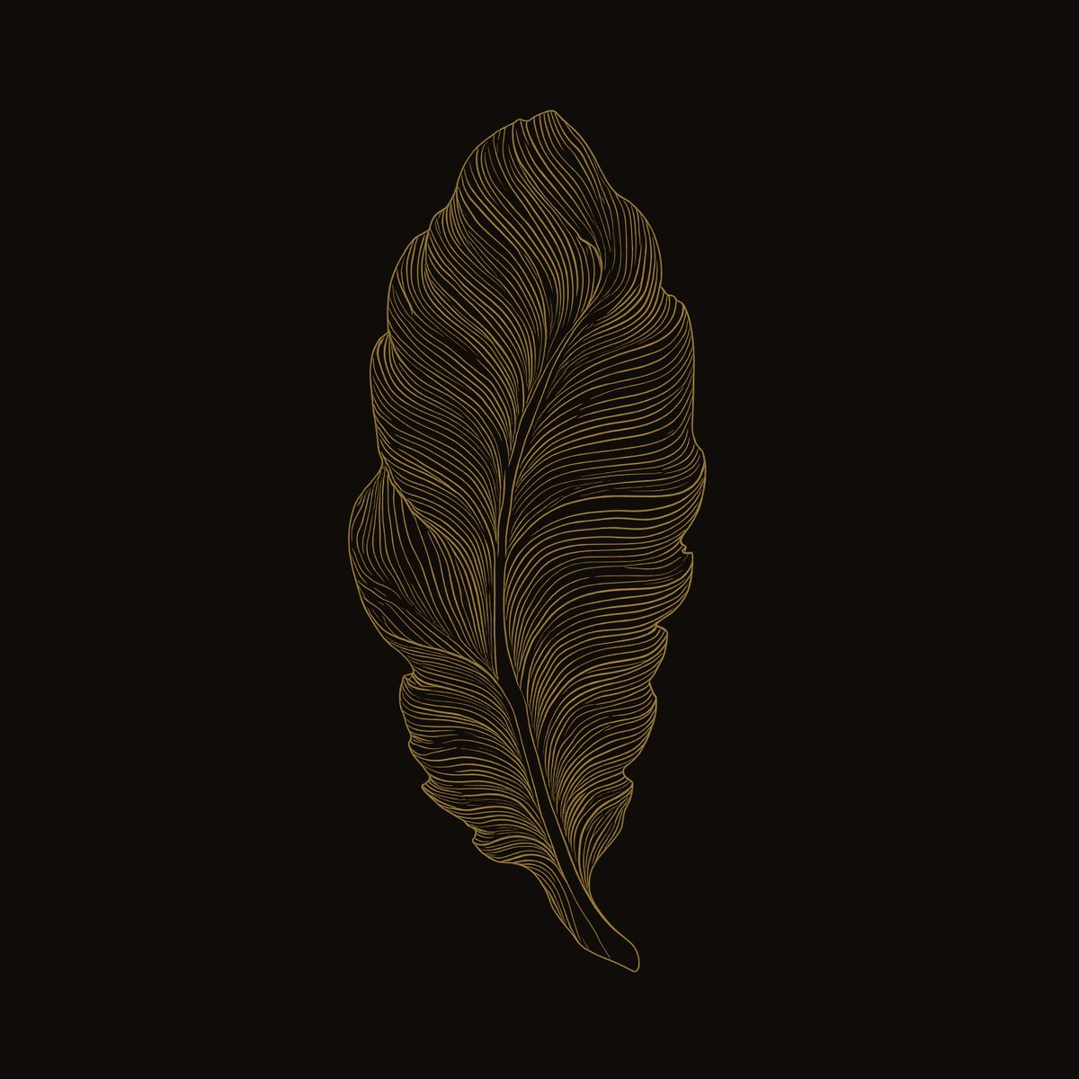 Plumeleaf Feather Wall Sculpture in Carved Wood dimension diagram