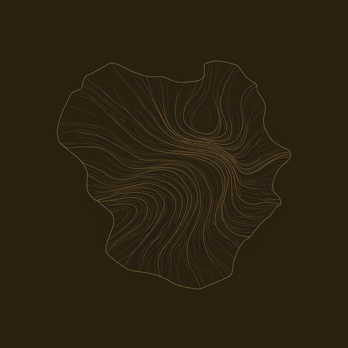 Vortex Wall Relief Carved with Swirling Contour Lines dimension diagram