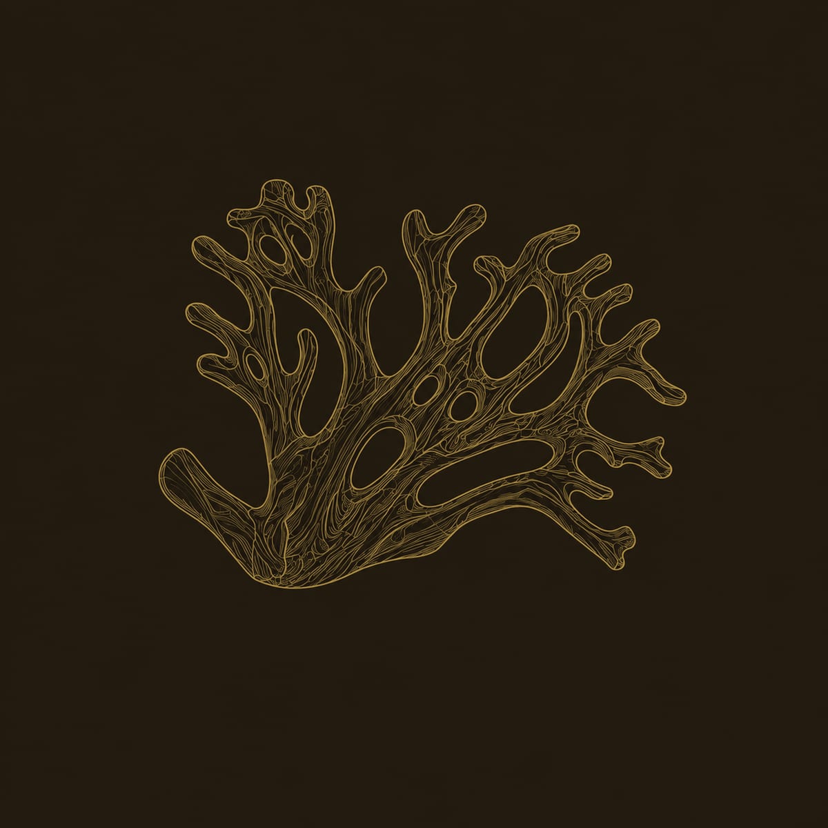 Wall Sconce Shaped Like Branching Coral With Open Carved Limbs dimension diagram