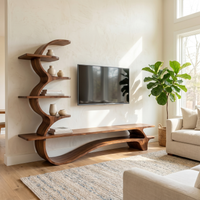 Organic Side Curved Shelf TV Console with Layered Display