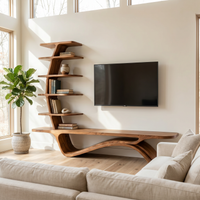 Contemporary Sculptural Storage TV Console with Vertical Shelving