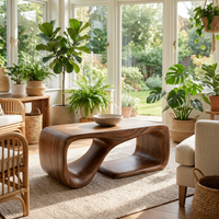 Modern Sculptural Coffee Table With Flowing Curves