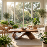 Organic Wooden Coffee Table With Sculptural Base