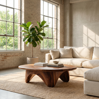 Organic Coffee Table With Carved Base