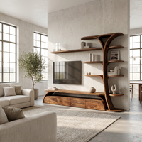 Organic Display Shelving Entertainment Console