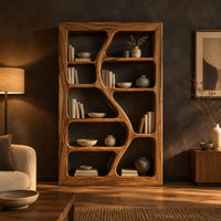 Freeform bookshelf with winding dividers and open cubbies in a thick frame in a dark living room at golden hour