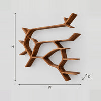 Branching Tree Limb Wall Shelves With Forked Open Levels dimension diagram with width, height and depth