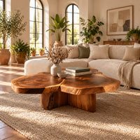 Clover shaped coffee table with three joined slabs on a three fin base in a bright living room with arched windows and plants