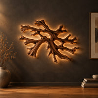Coral shaped branching wall light with a warm halo of glow behind it in a dark studio against a charcoal plaster wall