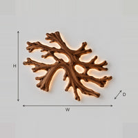 Coral Branch Wall Light With A Warm Halo Glow On The Wall dimension diagram with width, height and depth
