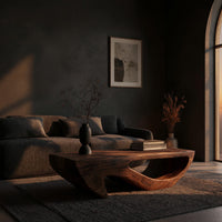 Dark coffee table with a deep U shaped open shelf in a living room at golden hour
