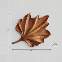 Fan Shaped Leaf Wall Art With Ribbed Relief And Long Stem dimension diagram with width and height