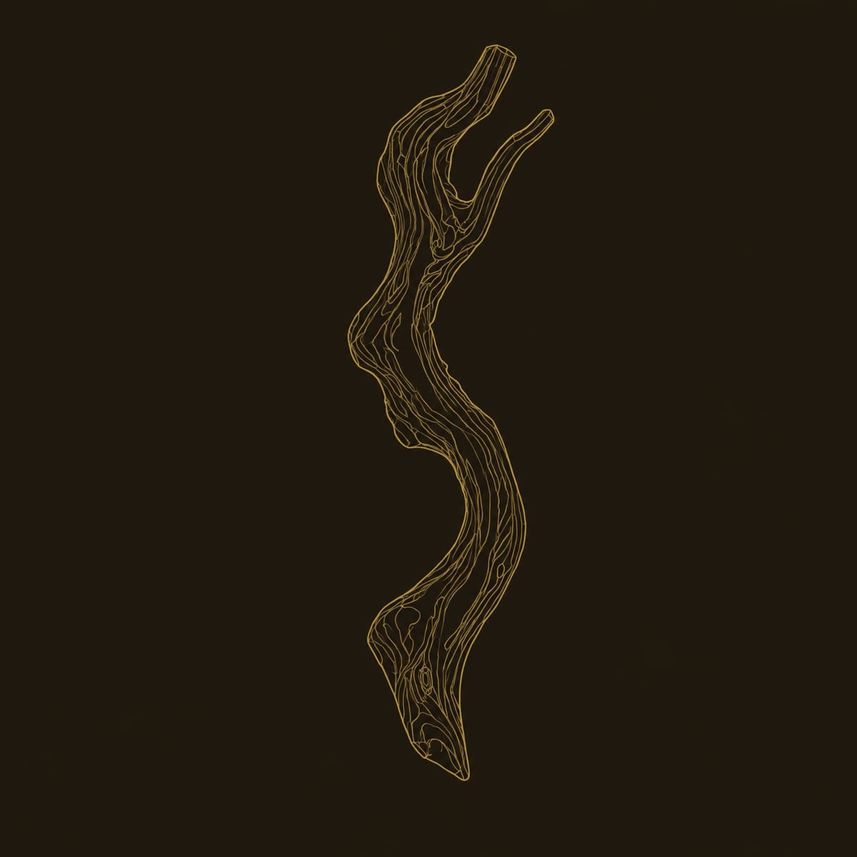 Gnarled Branch Wall Sconce With Warm Glow Behind The Wood dimension diagram