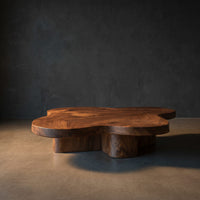 Organic Coffee Table With Unique Cloud-shapes For Living Room