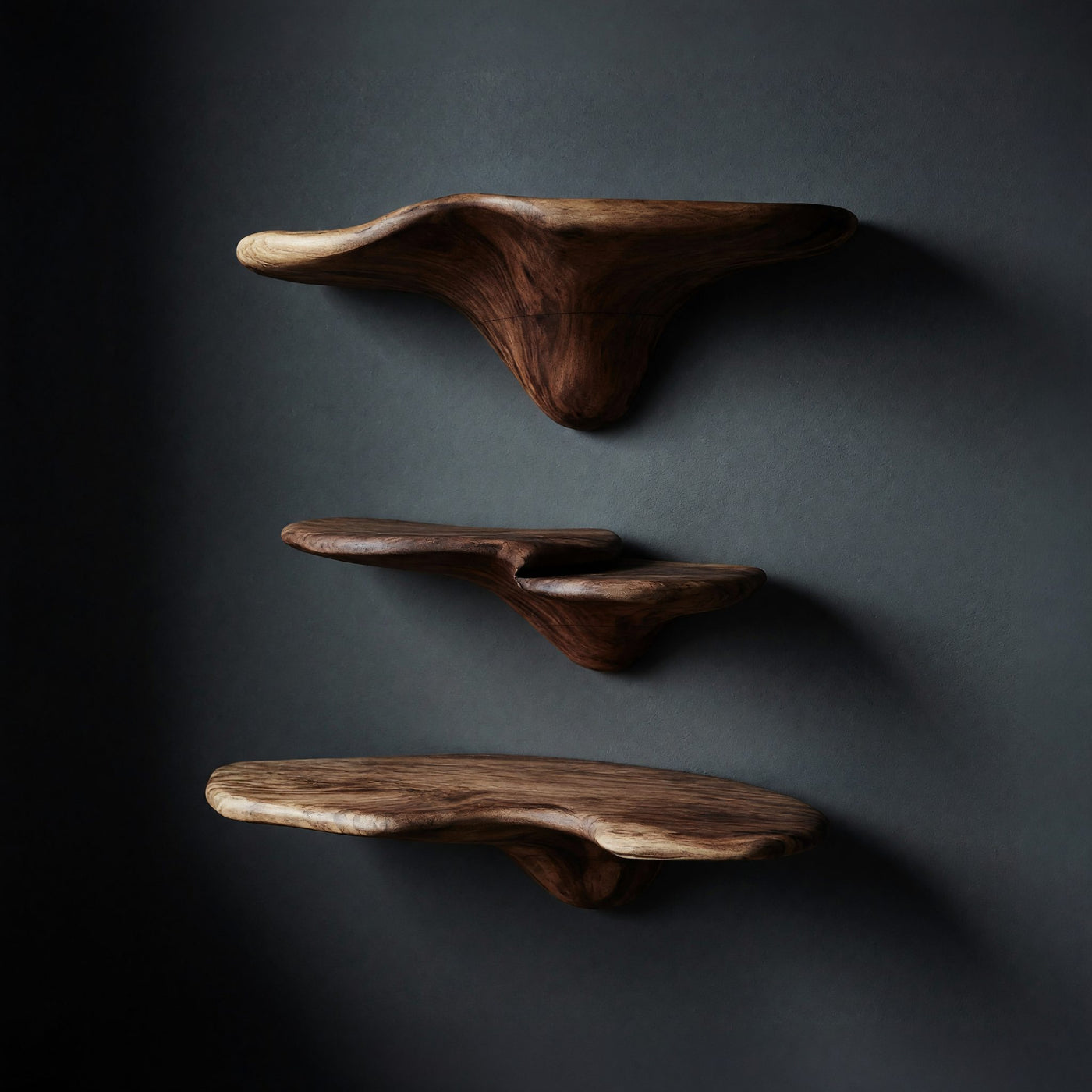 Solid Wood Mushroom Shelf Handcrafted Live Edge Artistic Home