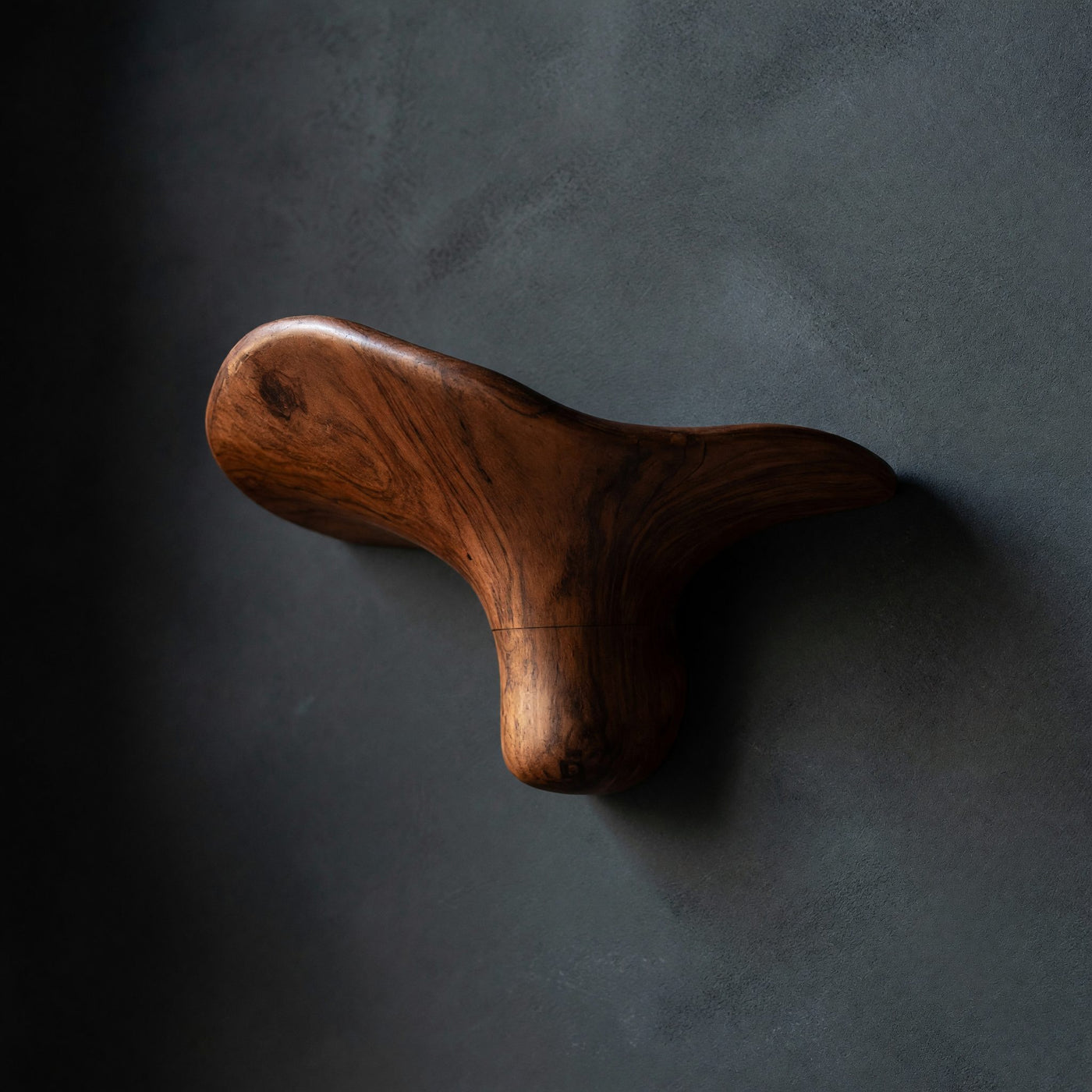 Solid Wood Mushroom Shelf Handcrafted Living Room Wall
