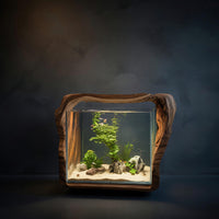 Solid Wood Aquarium Stand Rustic Live Edge With Glass Tank Bedroom