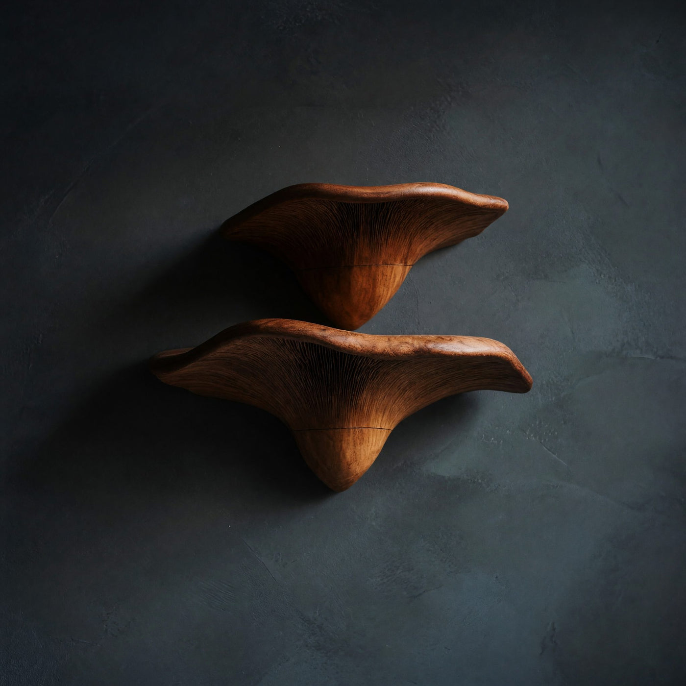 Solid Wood Mushroom Shelf Handcrafted Solid Organic