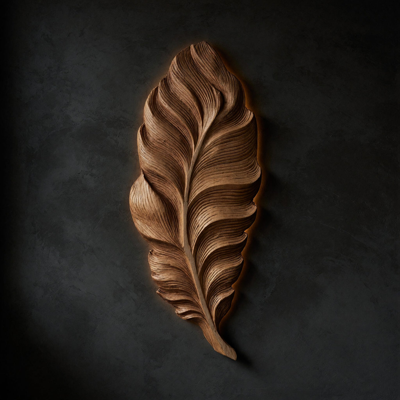 Plumeleaf Feather Wall Sculpture in Carved Wood
