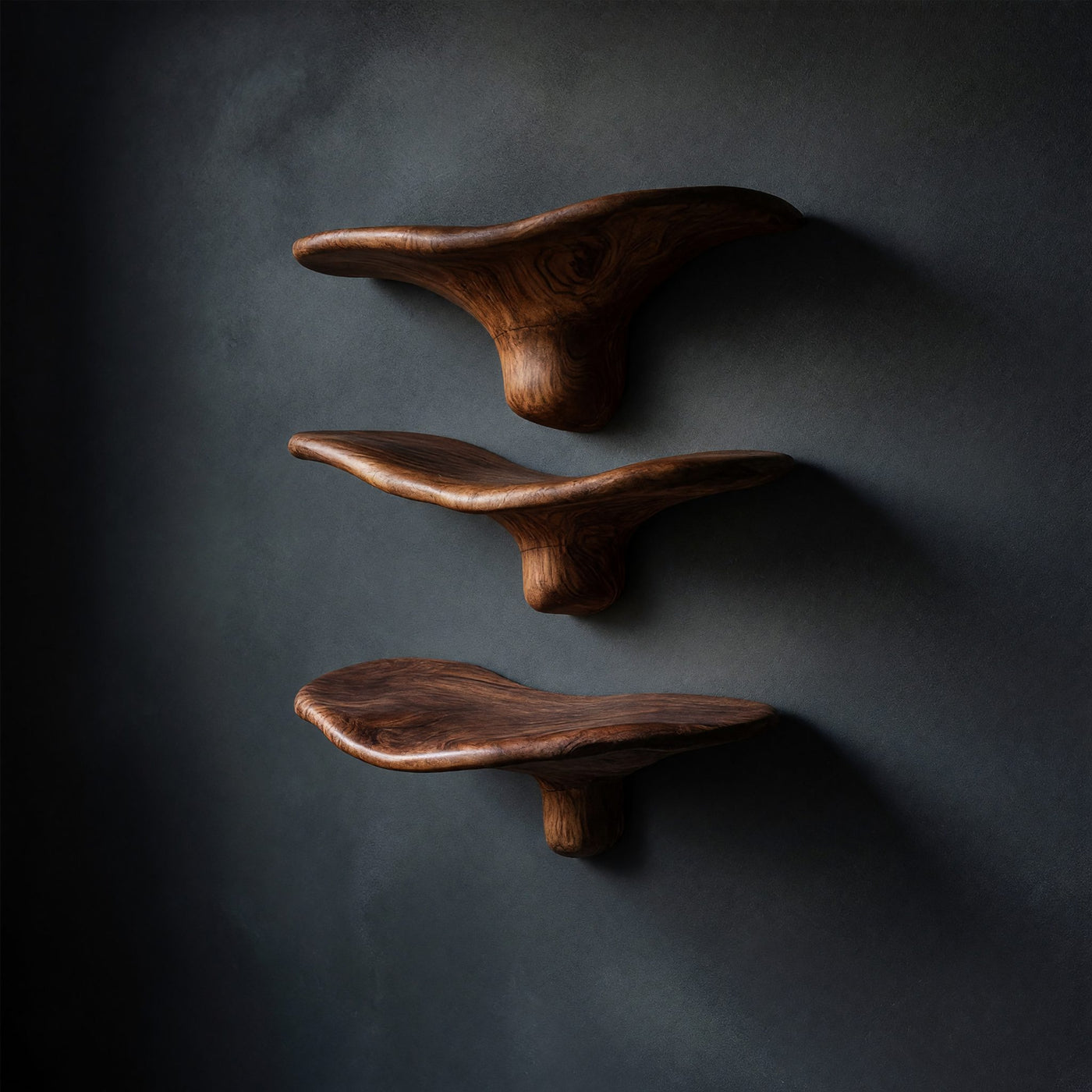 Solid Wood Mushroom Shelf Live Edge Minimalist