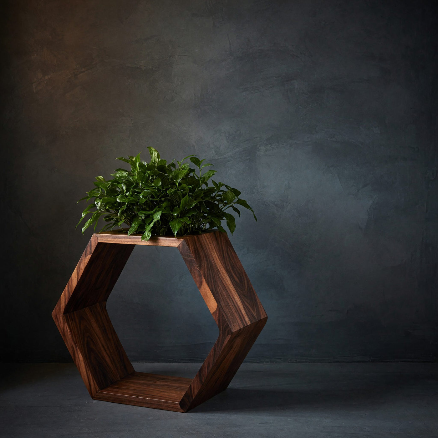 Solid Wood Planters Geometric Honeycomb Plant Shelf Modular Wall Unit Garden