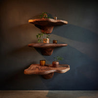 Solid Wood Mushroom Shelf Handcrafted Live Edge Modern, view 2