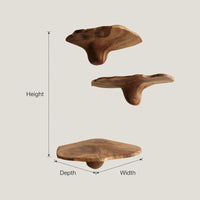 Solid Wood Mushroom Shelf Farmhouse Live Edge Living Room, view 3