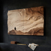 A Single Log, Opened Out Into a Canyon Wall Panel, view 4 — view 4
