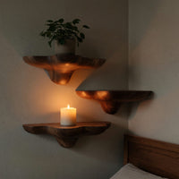 Solid Wood Mushroom Shelf Mid Century Solid Stylish, view 6