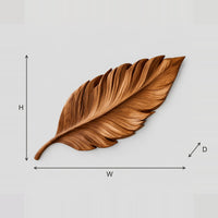 Leaf Shaped Wooden Wall Art With Raised Carved Veins dimension diagram with width and height