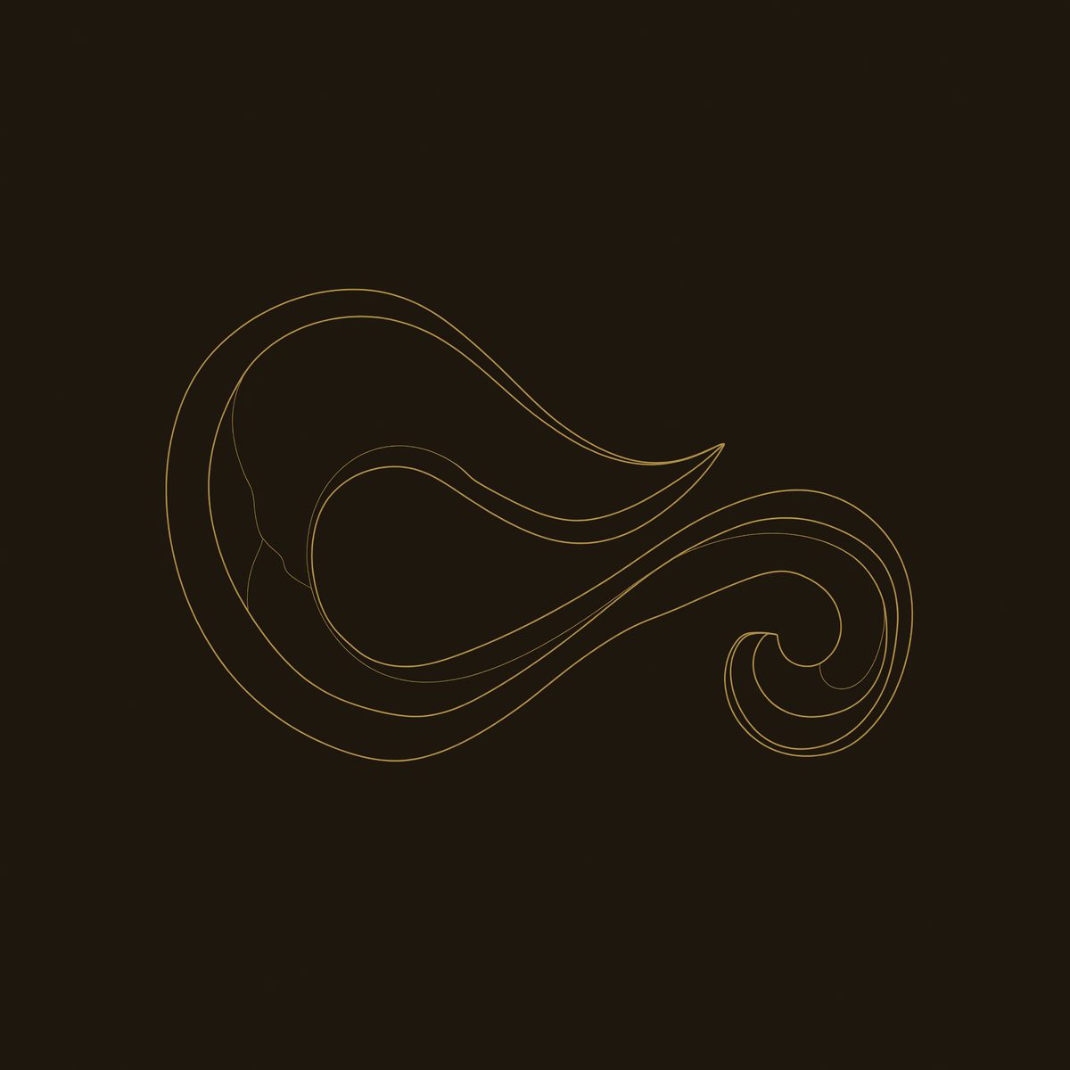 One Length of Walnut, Curled Into a Wall Sculpture dimension diagram