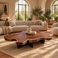 Live edge coffee table with a freeform slab top and dark angular base in a bright living room with arched windows and plants