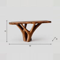 Live Edge Console Table On A Branching Trunk Base dimension diagram with width, height and depth