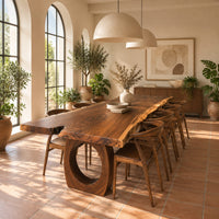 Long live edge slab dining table on thick ring shaped bases in a bright dining room with arched windows and plants