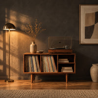 Open record player stand with four bays on tapered legs in a dark living room at golden hour