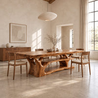 Rectangle dining table on a branching tree trunk base in a bright open plan dining room