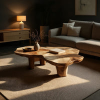 Free form live edge low table on stump legs in a living room at golden hour