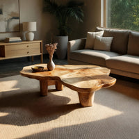 Free form live edge low table on stump legs in a sunlit room with large windows and plants