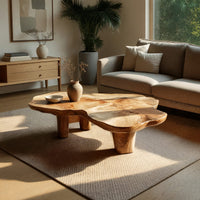 Free form live edge low table on stump legs in a bright modern living room
