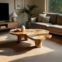 Free form live edge low table on stump legs in an open plan space in daylight