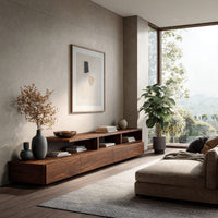 Low stepped riser TV console with drawers in a sunlit room with large windows and plants