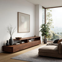Low stepped riser TV console with drawers in a bright modern living room
