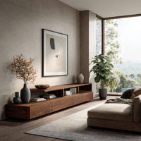 Low stepped riser TV console with drawers in an open plan space in daylight