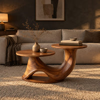 Coffee table with two disc tops at different heights on a swooping base in a dark living room at golden hour